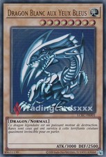Yu-Gi-Oh! Dragon Blanc aux