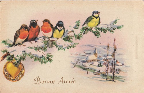 Illustree bonne annee - cp,