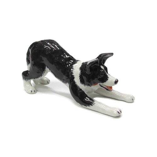 Northern rose dog - dog, border