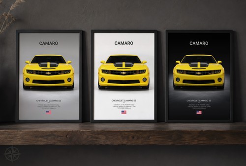 Chevrolet camaro 2010 - camaro, ss