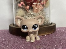 🌸Petshop Chien Papillon