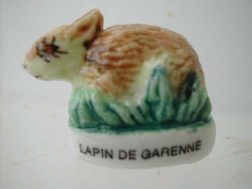 Fève lapin de - -,