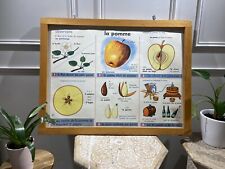 Carte Affiche Scolaire MDI : La Pomme, Les Feuilles