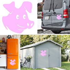 Cochon Version V6 XS +