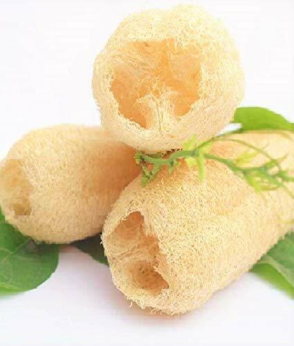 5no bain loofah naturel - 5no.,