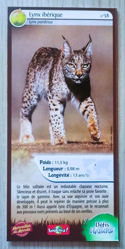 Carte merveilles monde - carte,