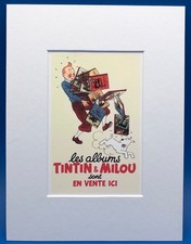 Hergé Tintin et Milou Les