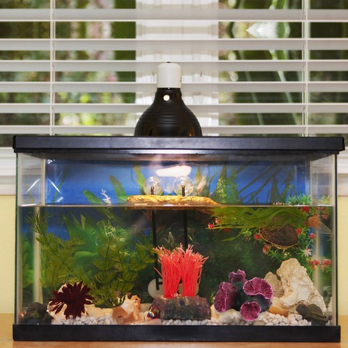Aquarium décor - ,