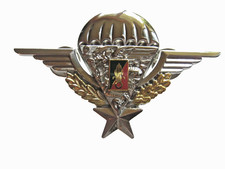 PATROOPER PATENT FOREIGN LEGION 2° REP (NUMBERED) BRILLIANT SILVER