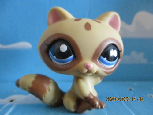 Petshop raton laveur 1682 - raton, n°1682