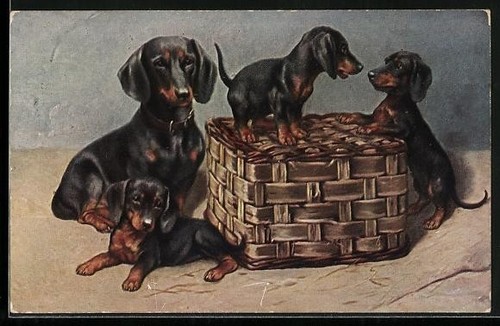 Carte postale artiste - postale, d'artiste