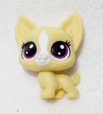 LITTLEST PETSHOP #2-87 HASBRO BABY PUPPY CHIEN CHIHUAHUA MAJOR DOG BEIGE