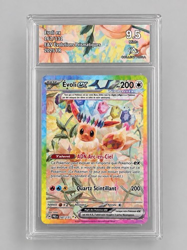 Pokémon jcc évoli - pokémon,