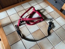Harnais Parachute + Laisse/Ceinture de sécurité pour Chien Taille S/M