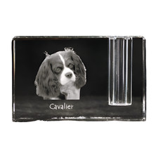 Cavalier King Charles