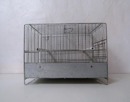 Cage oiseau zinc - oiseau,