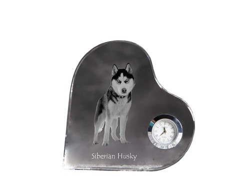 Husky sibérien kristalluhr - husky,