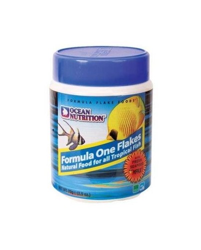 Ocean nutrition formula - nutrition,
