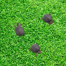  3pcs Simulation vive tortue aquarium pêche à la pêche paysage tortues