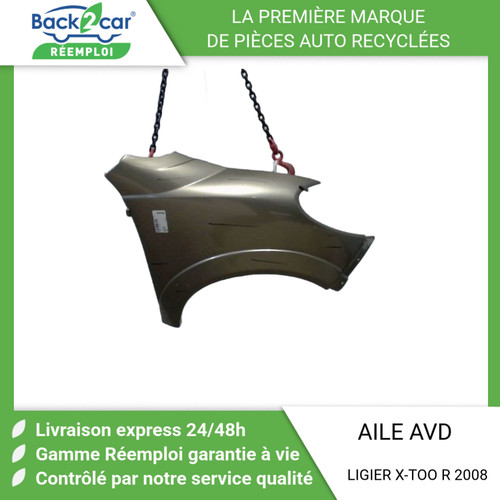 Aile avant droit - 🏆,