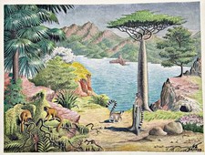 Maki Makis Lémuriens