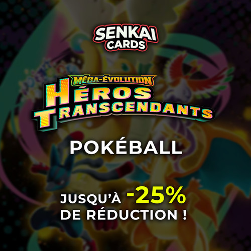 Pokémon héros - -,