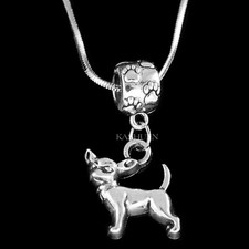 Chien Chihuahua Collier ~