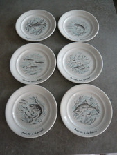 6 ASSIETTES  A POISSON PORCELAINE BLANCHE- PILLIVUYT FRANCE - Diam:  25cm