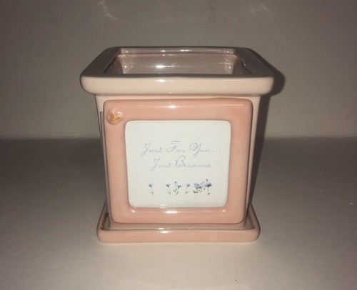 Winnie the pooh flower - the, pot