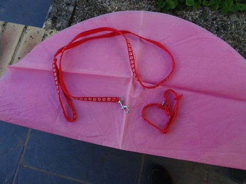 Laisse collier pour - laisse, et