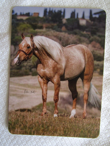 Horse swap card modern - horse, card~modern