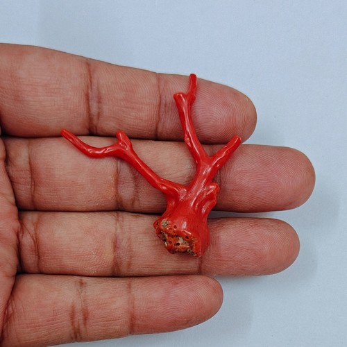 Pierre précieuse corail rouge