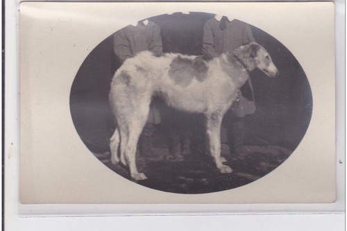 Cyprien carte photo - carte,