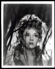 Vintage HOLLYWOOD BEAUTY Studio Photo 1960s ACTRESS MICHELINE PRESLE