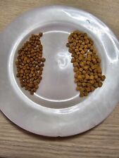 1 kg de pellets carpe expander