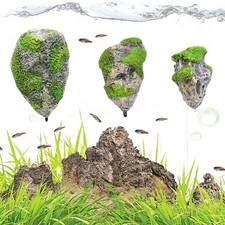 Roches flottantes pour