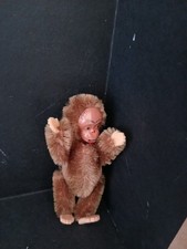 singe Blecky de schuco tire la