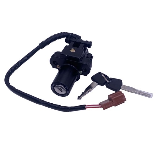 Ignition switch lock with - switch, 2x