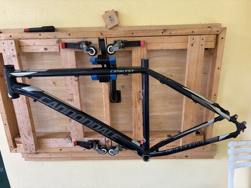 Cannondale catalyst frame - cannondale,