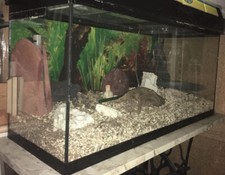 Aquarium de 96 litres (80x30x40)