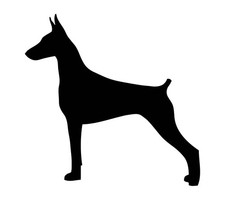 Doberman Pinscher Vinyl