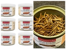 6x Canned Black Soldier Fly