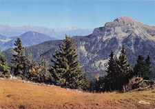 38 ST PIERRE DE CHARTREUSE CHAMECHAUDE