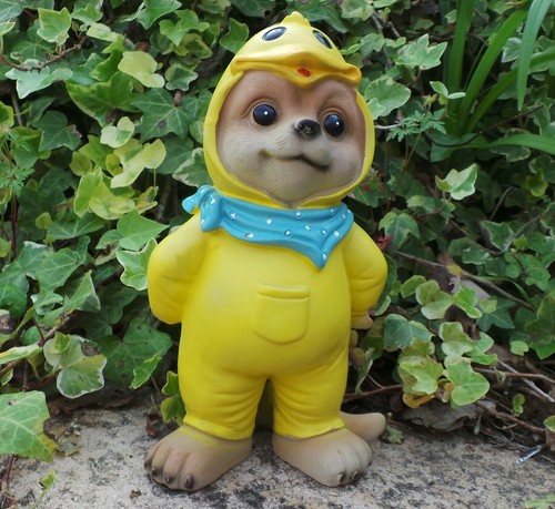Nain jardin animal en - nain,