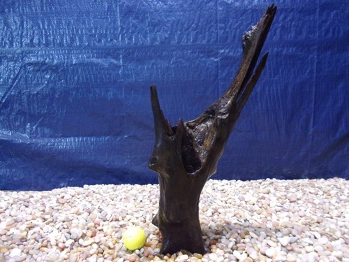 Medium driftwood x08 x04 - medium,