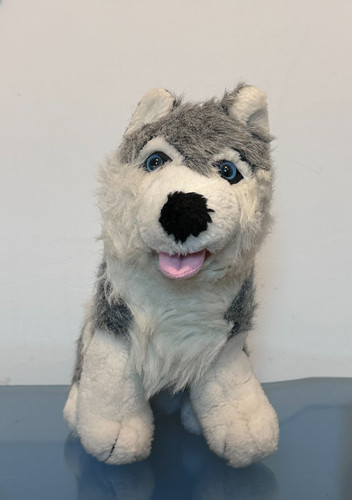 Peluche chien loup - , husky