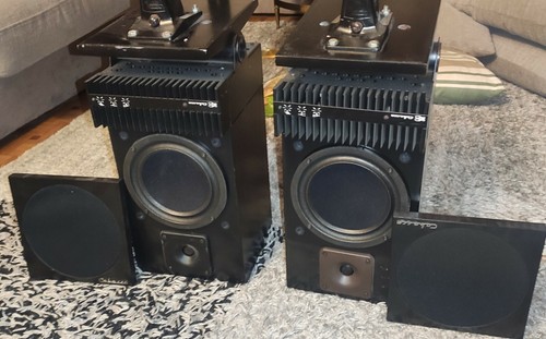 Rare paire monitor actif - rare,