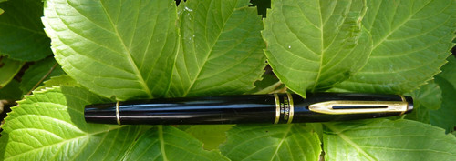Stylo plume waterman - stylo, expert