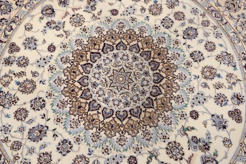 Tapis nain monisonne - tapis, la