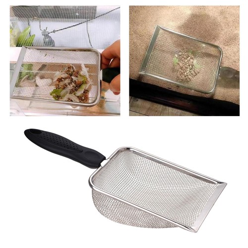 Scooper pet cat chaton chien - scooper,